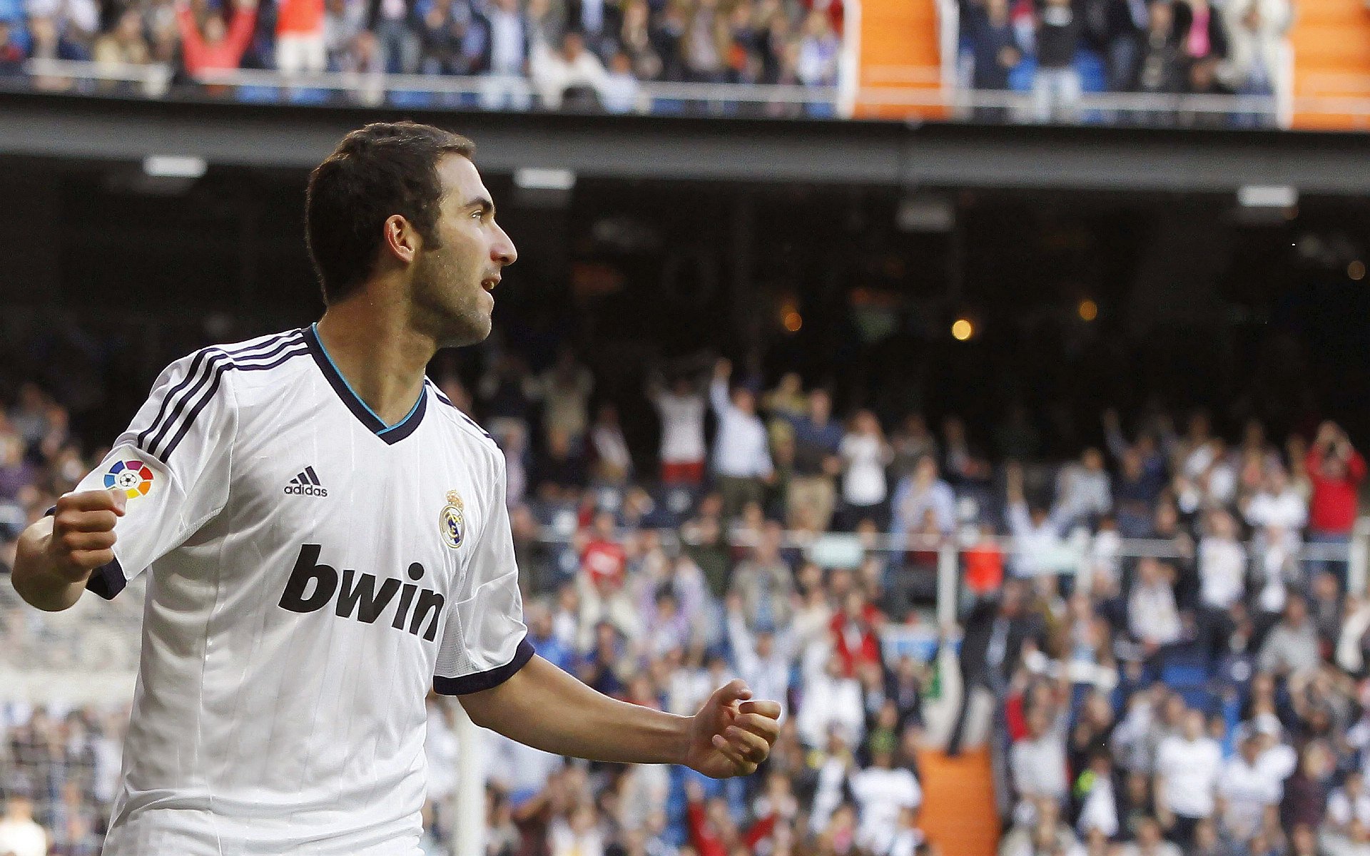 世界武艺节开幕 各国格斗选手交流对抗